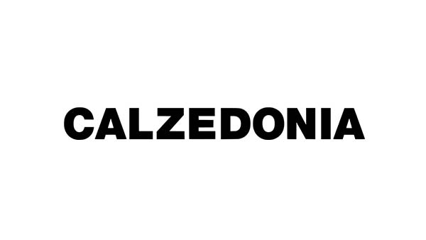 Logo calzedonia